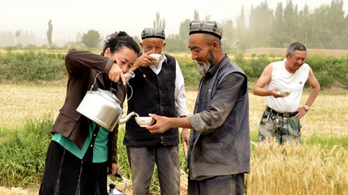 A Han official pours tea for local Uyghur farmers in 2014. (Photo/Courtesy of Zhao Jiangtao) A Han official pours tea for local Uyghur farmers in 2014. (Photo/Courtesy of Zhao Jiangtao)
