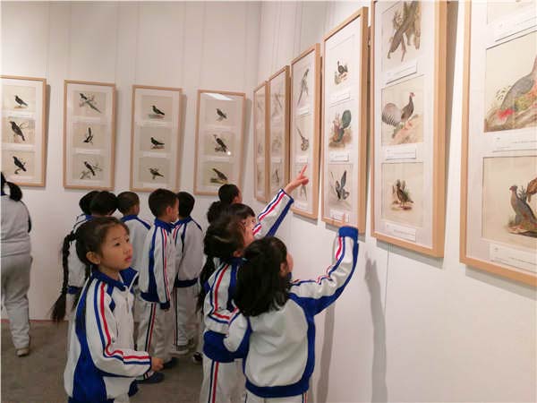 Youngsters visit the bird illustrations show in Beijing. Liu Xiangrui / China Daily Youngsters visit the bird illustrations show in Beijing. Liu Xiangrui / China Daily