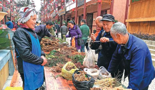 A vendor sells medicinal herbs at a market in Kaili city in Guizhou province. (Photo/Xinhua) A vendor sells medicinal herbs at a market in Kaili city in Guizhou province. (Photo/Xinhua)