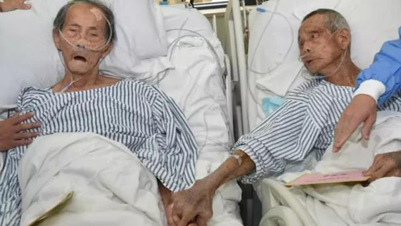 Two veterans who fought in China's war of resistance against Japanese aggression at a hospital in China's southern city of Shenzhen. (Photo/Photo from WeChat public account Shenzhendajianshi) Two veterans who fought in China's war of resistance against Japanese aggression at a hospital in China's southern city of Shenzhen. (Photo/Photo from WeChat public account Shenzhendajianshi)