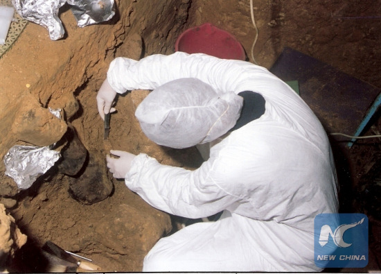 This image shows excavations at the site of El Sidron, Spain. (Credit: El Sidron research team) This image shows excavations at the site of El Sidron, Spain. (Credit: El Sidron research team)