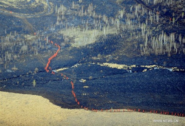 Forest police walk past burned forest region in Chenbaerhu Banner, Hulunbuir City, north China's Inner Mongolia Autonomous Region, May 20, 2017. The forest fire that broke out Wednesday in China's Inner Mongolia Autonomous Region has been brought under control, authorities said Saturday. (Xinhua/Deng Hua)