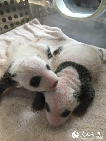 (Photo/People.cn) (Photo/People.cn)