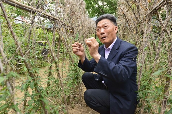 Former porter Zhang Yuqing began exploring for herbs unique to the mountain in the 1980s and now runs a planting base.