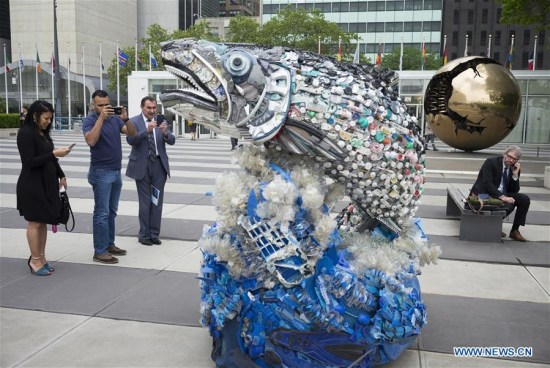 People take photos of a salmon installation made of debris collected from the Pacific Coast beaches on the first day of the Ocean Conference at the United Nations headquarters in New York, on June 5, 2017. (Xinhua/Li Muzi) People take photos of a salmon installation made of debris collected from the Pacific Coast beaches on the first day of the Ocean Conference at the United Nations headquarters in New York, on June 5, 2017. (Xinhua/Li Muzi)
