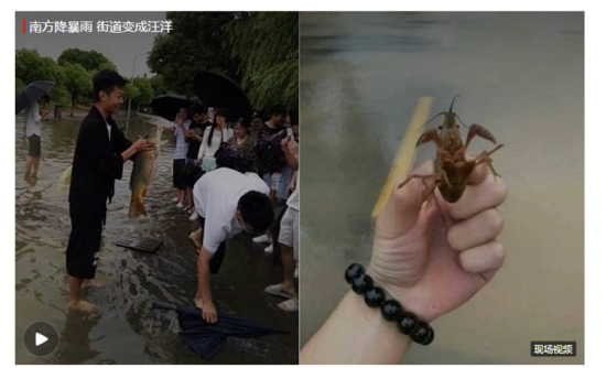 Fish and shrimp are pulled out of flood waters in Nanjing after torrential rain, June 10, 2017. (Screen shots) Fish and shrimp are pulled out of flood waters in Nanjing after torrential rain, June 10, 2017. (Screen shots)