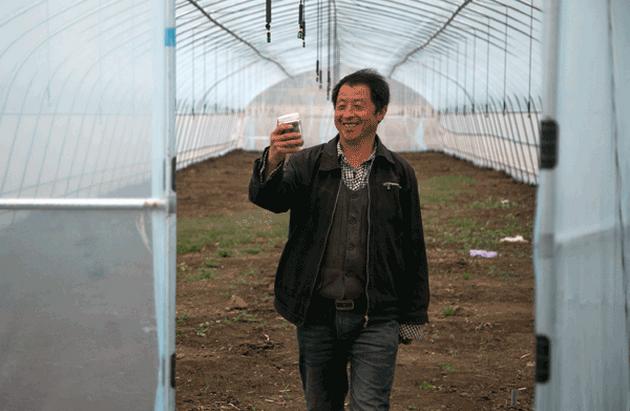 Xu Haicheng's family eradciated proverty by planting potatos in greenhouses. Yuan Qingpan / China Daily Xu Haicheng's family eradciated proverty by planting potatos in greenhouses. Yuan Qingpan / China Daily