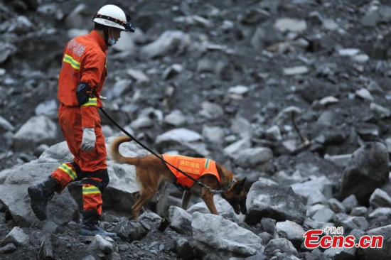 A firefighter checks a search dog helping to find the missing after a massive landslide in Xinmo Village in Maoxian County, Tibetan and Qiang Autonomous Prefecture of Aba, Southwest China’s Sichuan Province, June 24, 2017. (Photo: China News Service/An Yuan) A firefighter checks a search dog helping to find the missing after a massive landslide in Xinmo Village in Maoxian County, Tibetan and Qiang Autonomous Prefecture of Aba, Southwest China’s Sichuan Province, June 24, 2017. (Photo: China News Service/An Yuan)