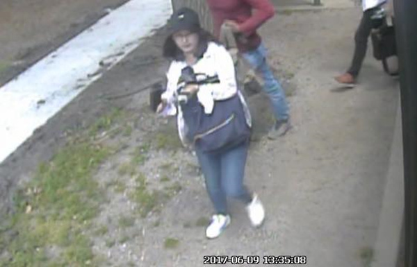 This surveillance video screenshot released by police shows Zhang Yingying outside a bus. This surveillance video screenshot released by police shows Zhang Yingying outside a bus.
