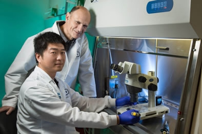 Juan Carlos Izpisua Belmonte, Professor at Salk Institute's Gene Expression Laboratory and Wu Jun (front), Salk staff scientist. (Photo/Xinhua) Juan Carlos Izpisua Belmonte, Professor at Salk Institute's Gene Expression Laboratory and Wu Jun (front), Salk staff scientist. (Photo/Xinhua)