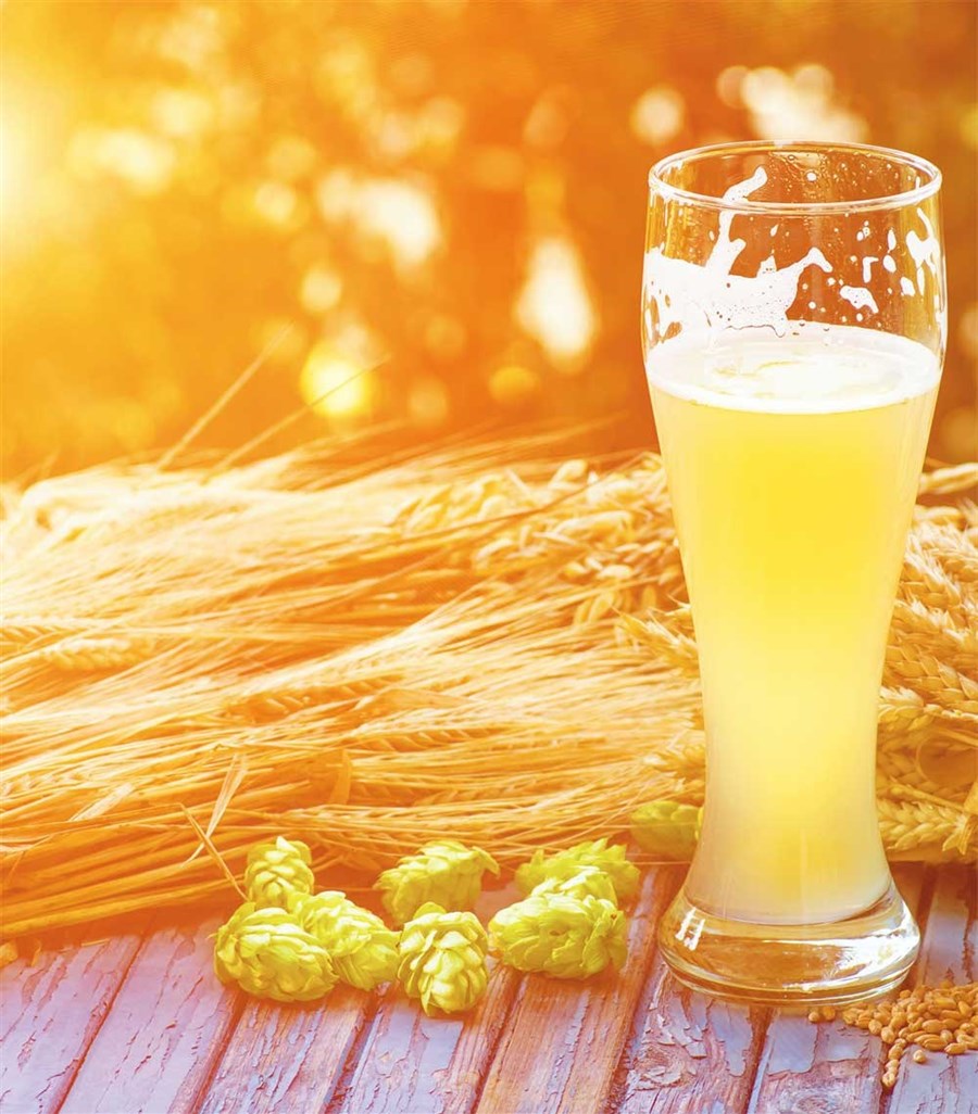 Gan bei! Lets quaff a cold beer to quell August heat