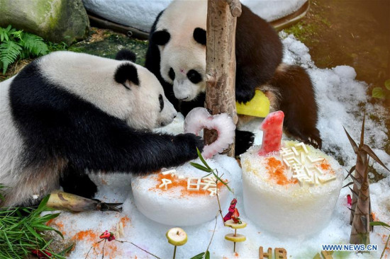 Giant pandas Liang Liang (L) and Nuan Nuan eat during a birthday celebration at the National Zoo in Kuala Lumpur, Malaysia, on Aug. 23, 2017. (Xinhua/Chong Voon Chung) Giant pandas Liang Liang (L) and Nuan Nuan eat during a birthday celebration at the National Zoo in Kuala Lumpur, Malaysia, on Aug. 23, 2017. (Xinhua/Chong Voon Chung)