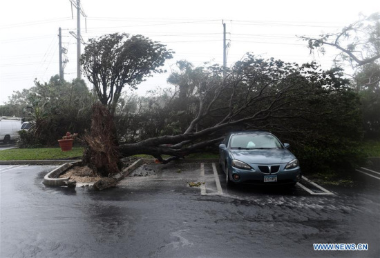A tree is toppled onto a car after being knocked down by strong winds as hurricane Irma arrives, in Miami, Florida, the United States, on Sept. 10, 2017. (Xinhua/Yin Bogu) A tree is toppled onto a car after being knocked down by strong winds as hurricane Irma arrives, in Miami, Florida, the United States, on Sept. 10, 2017. (Xinhua/Yin Bogu)