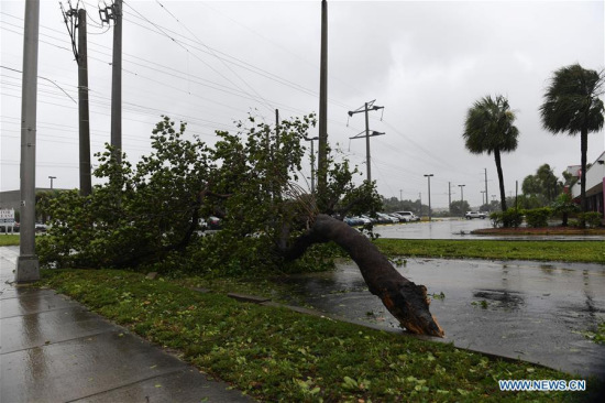 Trees and branches are seen on a street after being torn down by strong winds as hurricane Irma arrives, in Miami, Florida, the United States, on Sept. 10, 2017. Category Four Hurricane Irma on Sunday morning made landfall in the Florida Keys with gust wind speed of 171 km/h, according to the National Hurricane Center (NHC). (Xinhua/Yin Bogu) Trees and branches are seen on a street after being torn down by strong winds as hurricane Irma arrives, in Miami, Florida, the United States, on Sept. 10, 2017. Category Four Hurricane Irma on Sunday morning made landfall in the Florida Keys with gust wind speed of 171 km/h, according to the National Hurricane Center (NHC). (Xinhua/Yin Bogu)