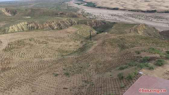 A file photo shows a part of Kubuqi Desert that has turned to green. (Photo provided to China.org.cn) A file photo shows a part of Kubuqi Desert that has turned to green. (Photo provided to China.org.cn)