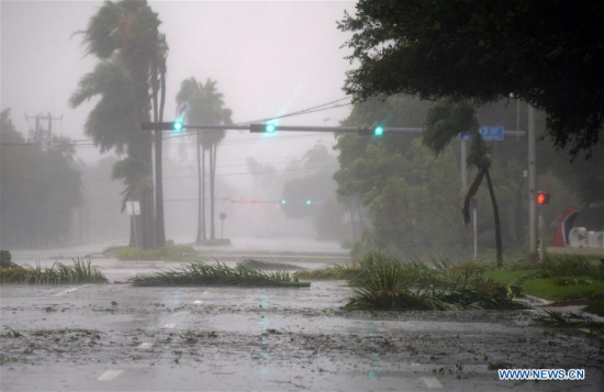 Trees and branches are seen on a street after being torn down by strong winds as hurricane Irma arrives, in Miami, Florida, the United States, on Sept. 10, 2017. (Xinhua/Yin Bogu) Trees and branches are seen on a street after being torn down by strong winds as hurricane Irma arrives, in Miami, Florida, the United States, on Sept. 10, 2017. (Xinhua/Yin Bogu)
