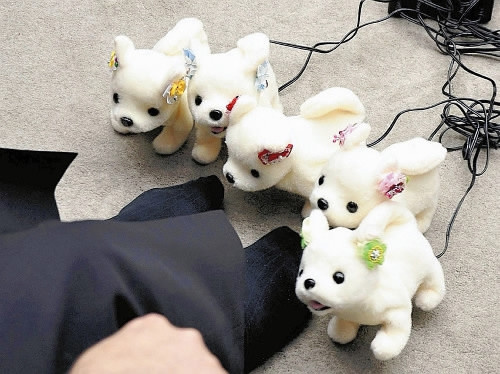 The dog robots could react differently according to smell catagories. (Photo provided to CGTN)