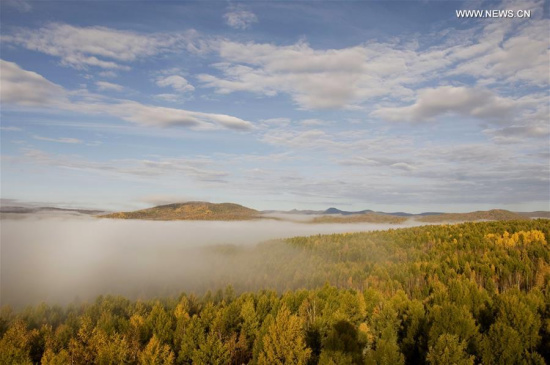 Photo taken on Sept. 20, 2017 shows the forests in Hulun Buir, north China's Inner Mongolia Autonomous Region. (Xinhua/Yu Changjun) Photo taken on Sept. 20, 2017 shows the forests in Hulun Buir, north China's Inner Mongolia Autonomous Region. (Xinhua/Yu Changjun)