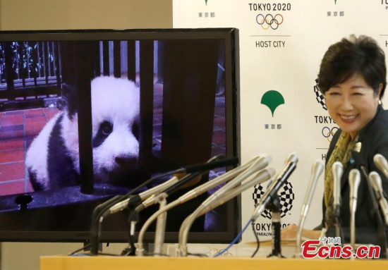 A panda cub named Xiang Xiang, born from mother panda Shin Shin at Tokyo's Ueno Zoological Gardens on June 12, 2017, is shown on a screen next to Tokyo Governor Yuriko Koike during a news conference to announce the name at Tokyo Metropolitan Government Building in Tokyo, Japan September 25, 2017. (Photo/Agencies) A panda cub named Xiang Xiang, born from mother panda Shin Shin at Tokyo's Ueno Zoological Gardens on June 12, 2017, is shown on a screen next to Tokyo Governor Yuriko Koike during a news conference to announce the name at Tokyo Metropolitan Government Building in Tokyo, Japan September 25, 2017. (Photo/Agencies)