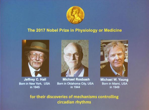 Photos of the three awarded scientists are seen at a press conference in Stockholm, Sweden, Oct. 2, 2017. Three scientists share 2017 Nobel Prize in Physiology or Medicine, the Nobel Committee announced on Monday in Stockholm. The Nobel assembly at the Karolinska Institute has decided to award the 2017 physiology or medicine prize jointly to Jeffrey C. Hall, Michael Rosbash and Michael W. Young for their discoveries of molecular mechanisms controlling the circadian rhythm. (Xinhua/Shi Tiansheng) Photos of the three awarded scientists are seen at a press conference in Stockholm, Sweden, Oct. 2, 2017. Three scientists share 2017 Nobel Prize in Physiology or Medicine, the Nobel Committee announced on Monday in Stockholm. The Nobel assembly at the Karolinska Institute has decided to award the 2017 physiology or medicine prize jointly to Jeffrey C. Hall, Michael Rosbash and Michael W. Young for their discoveries of molecular mechanisms controlling the circadian rhythm. (Xinhua/Shi Tiansheng)