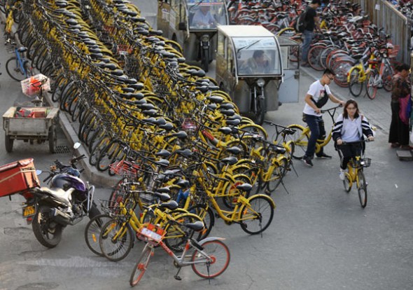 Shared bikes near a subway station in Beijing. (Photo by Zhu Xingxin/China Daily) Shared bikes near a subway station in Beijing. (Photo by Zhu Xingxin/China Daily)
