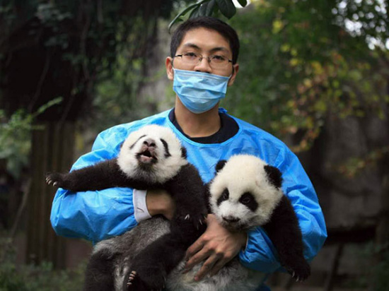Zhang Hao has greater confidence in the country's future. PROVIDED TO CHINA DAILY