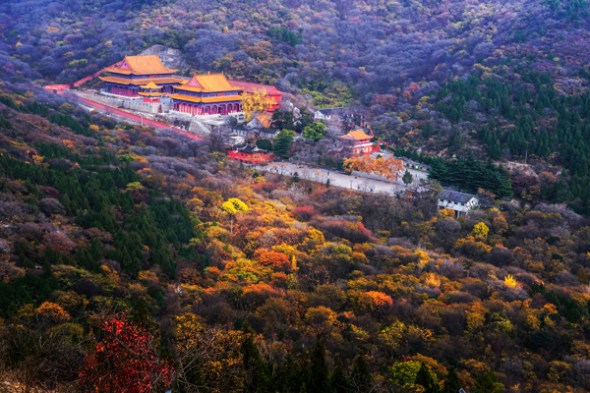 Xiangshan Mountain has become a forestry park as a result of decades of tree-planting projects by the local government. (Photo/China Daily) Xiangshan Mountain has become a forestry park as a result of decades of tree-planting projects by the local government. (Photo/China Daily)