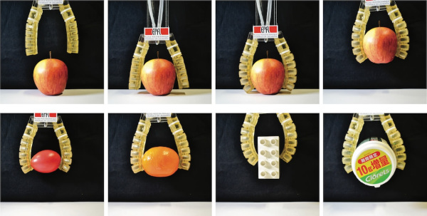 The researchers conducted a gripper grasping test. /EPEL Photo The researchers conducted a gripper grasping test. /EPEL Photo