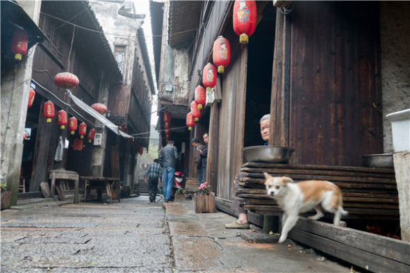 Tu Yuanqing runs his family teahouse in Maming village, a 30-minute drive from the ancient water town of Wuzhen. (Photo by Alywin Chew and Gao Erqiang/China Daily) Tu Yuanqing runs his family teahouse in Maming village, a 30-minute drive from the ancient water town of Wuzhen. (Photo by Alywin Chew and Gao Erqiang/China Daily)
