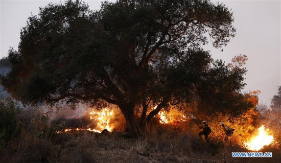 Two firefighters work at a fire spot in Carpinteria, California, the United States, Dec. 11, 2017. (Xinhua/Li Ying) Two firefighters work at a fire spot in Carpinteria, California, the United States, Dec. 11, 2017. (Xinhua/Li Ying)