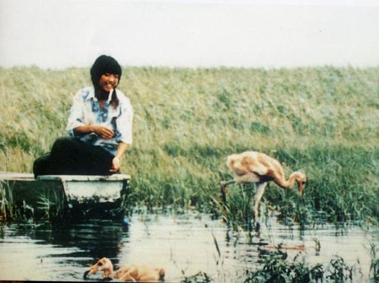 Xu Xiujuan from northeast China’s Heilongjiang Province and cranes she had protected. (Photo/Xinhua) Xu Xiujuan from northeast China’s Heilongjiang Province and cranes she had protected. (Photo/Xinhua)