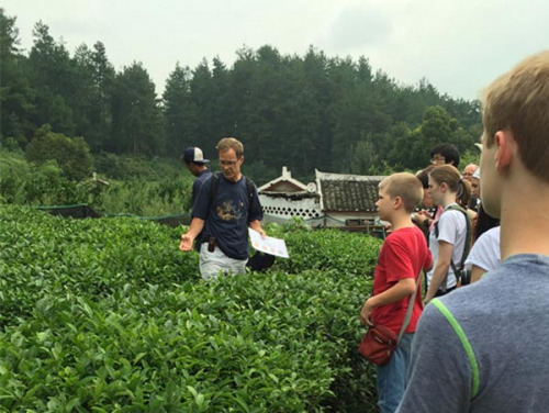 Hugh Henry (center) learns the techniques of picking tea leaves at a tea garden in Guiyang, Southwest China's Guizhou Province, July 24, 2015. (Photo provided to chinadaily.com.cn)