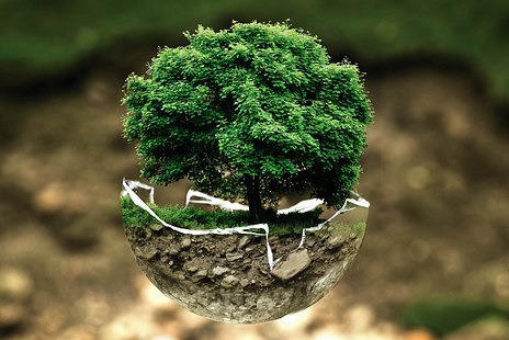 Environment watchdog names pollution reduction laggards