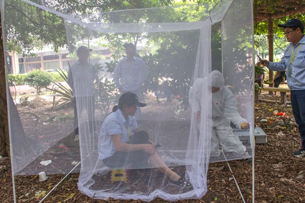 A team conducts experiments on mosquitoes in Guangdong province. (Photo by TAN QINGJU/FOR CHINA DAILY) A team conducts experiments on mosquitoes in Guangdong province. (Photo by TAN QINGJU/FOR CHINA DAILY)