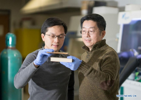 Associate Professor Liangbing Hu (L) and Professor Teng Li of the University of Maryland compare a piece of compressed wood (Top, C) to its original form (Bottom, C) at the University of Maryland, Maryland, the United States, on Feb. 2, 2018.(Xinhua/Hua Xie) Associate Professor Liangbing Hu (L) and Professor Teng Li of the University of Maryland compare a piece of compressed wood (Top, C) to its original form (Bottom, C) at the University of Maryland, Maryland, the United States, on Feb. 2, 2018.(Xinhua/Hua Xie)