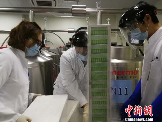 The scientists work in the laboratory. (Photo: China News Service/Xu Jing) The scientists work in the laboratory. (Photo: China News Service/Xu Jing)