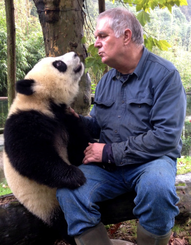 Ben Kilham, of Lyme, New Hampshire, who has released about 165 black bear cubs into the wild, is hoping his techniques will work with pandas. (Photo/China Daily) Ben Kilham, of Lyme, New Hampshire, who has released about 165 black bear cubs into the wild, is hoping his techniques will work with pandas. (Photo/China Daily)