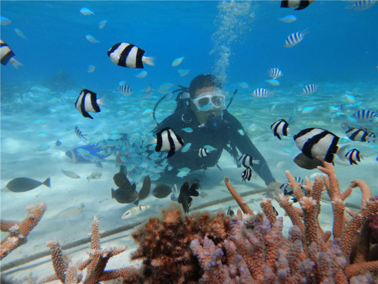 A tourist scuba dives under the sea around Saipan, the northern Mariana Islands in the western Pacific Ocean. PHOTO PROVIDED TO CHINA DAILY