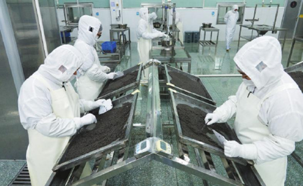 Employees sort caviar at the factory of Kaluga Queen in Quzhou, Zhejiang province. (Photo by Gao Erqiang/China Daily) Employees sort caviar at the factory of Kaluga Queen in Quzhou, Zhejiang province. (Photo by Gao Erqiang/China Daily)