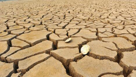 Water table falling in China: research