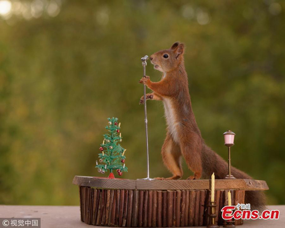 Internet goes nuts over campus squirrels