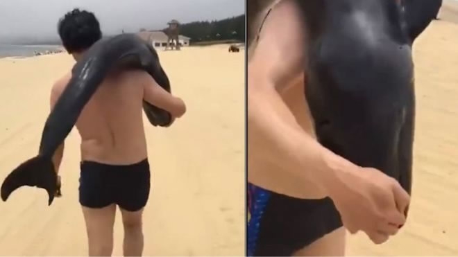 Chinese man arrested after walking away with dolphin