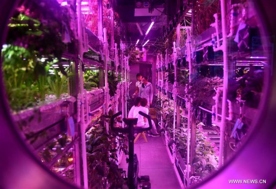 Chinese rewrite record, live 370 days in self-contained moon lab