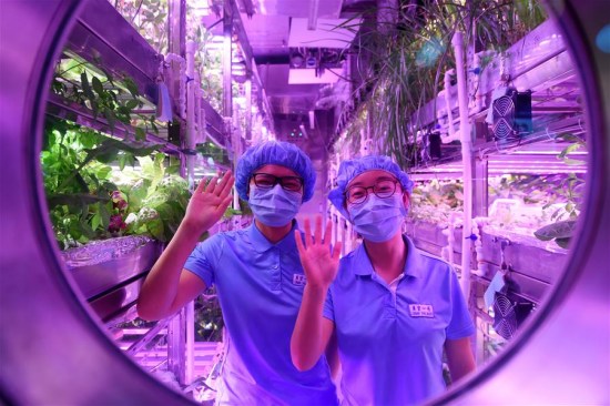 China's 'Lunar Palace' breaks record after 365+5 days