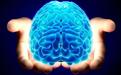 Shanghai sets up pioneering brain science center
