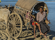 Myanmar returns large amount of confiscated land to farmers in northwestern region
