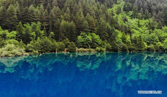 Aerial photo taken on May 17, 2018 shows Shu Zheng lakes spot at Jiuzhaigou scenic area in southwest China's Sichuan Province. (Xinhua/Xue Yubin)