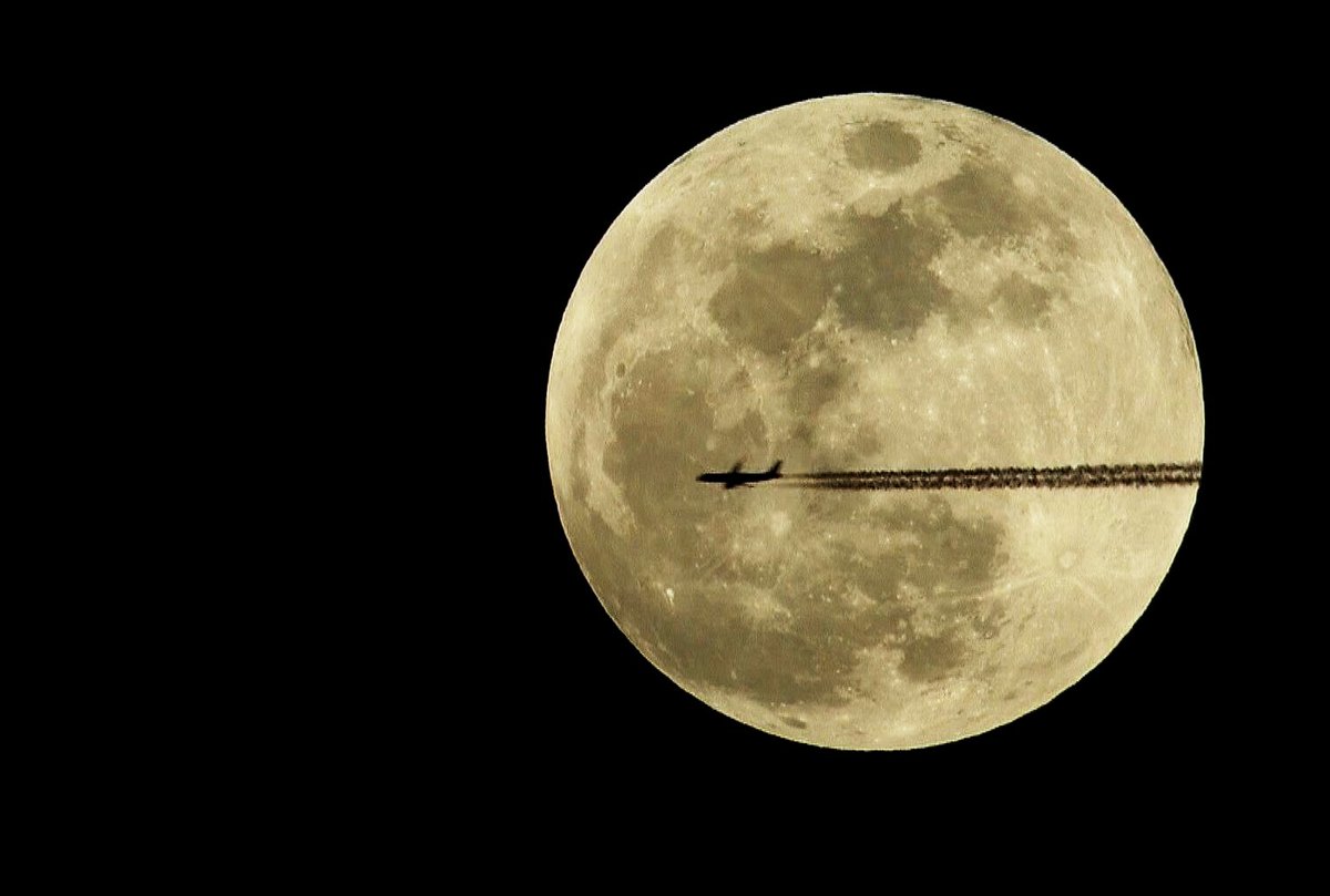 China's visitors to the Moon