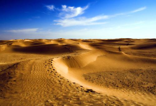 Intelligent water device to help desert prevention