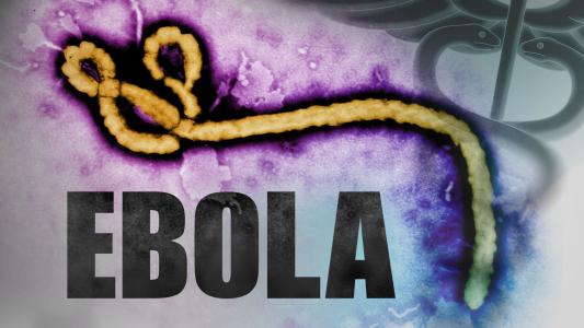 Ebola vaccination starts in DRC: WHO